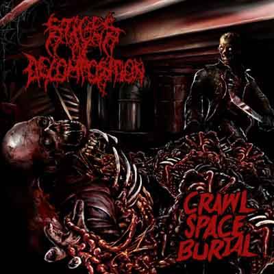 Stages Of Decomposition : Crawl Space Burial